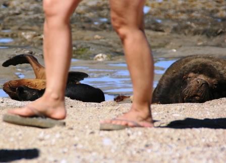Alle gehen vorbei...